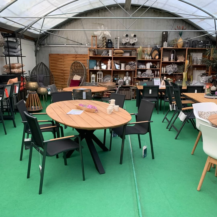 FB_IMG_1740698687318