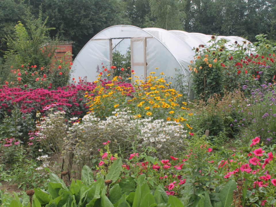 Camping De Nachtegaal Eco